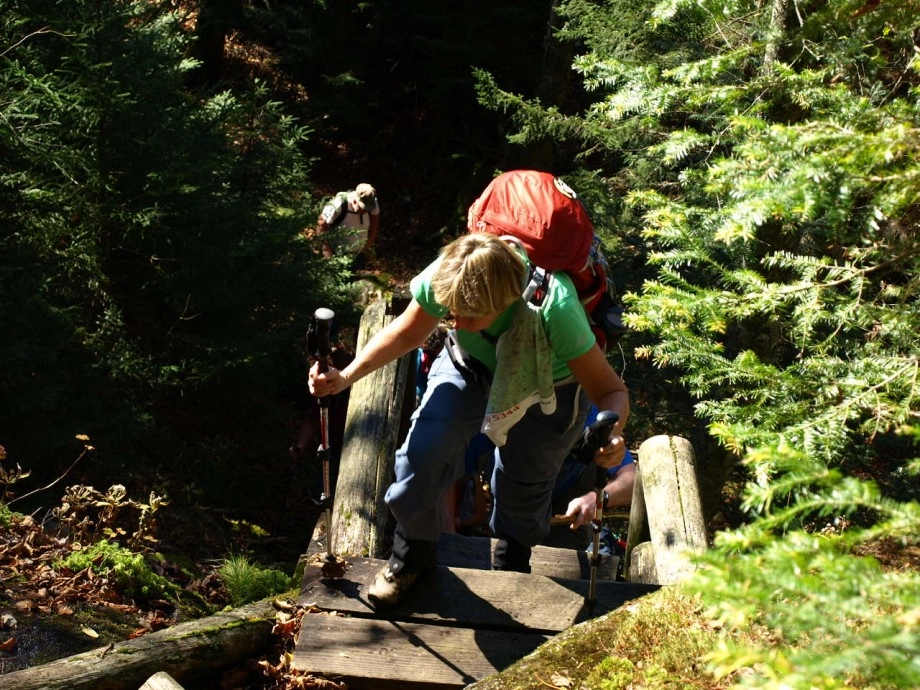 Trail builders have built in some help for this challenging traverse.
