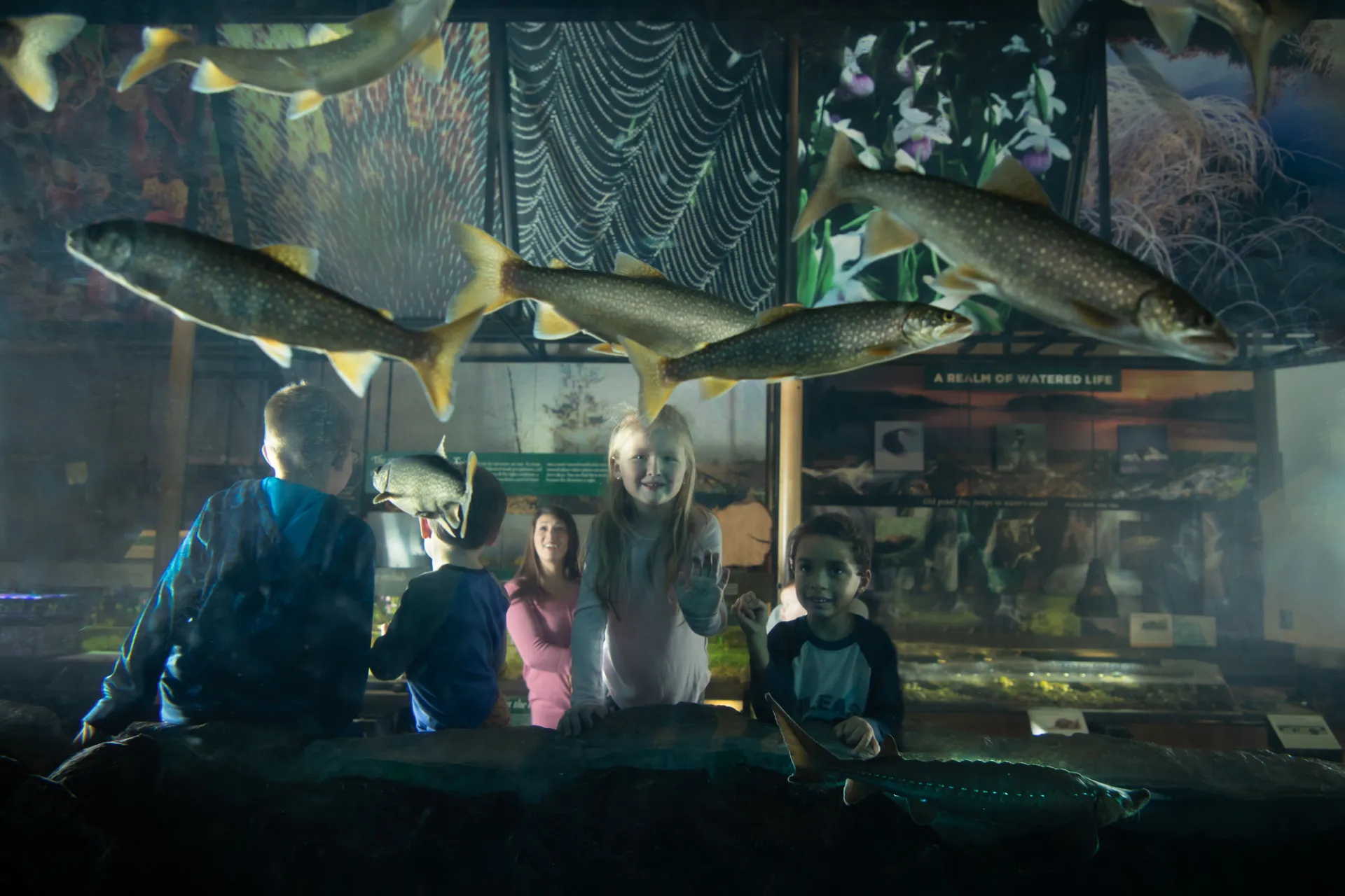 Kids look at fish in an aquarium tank