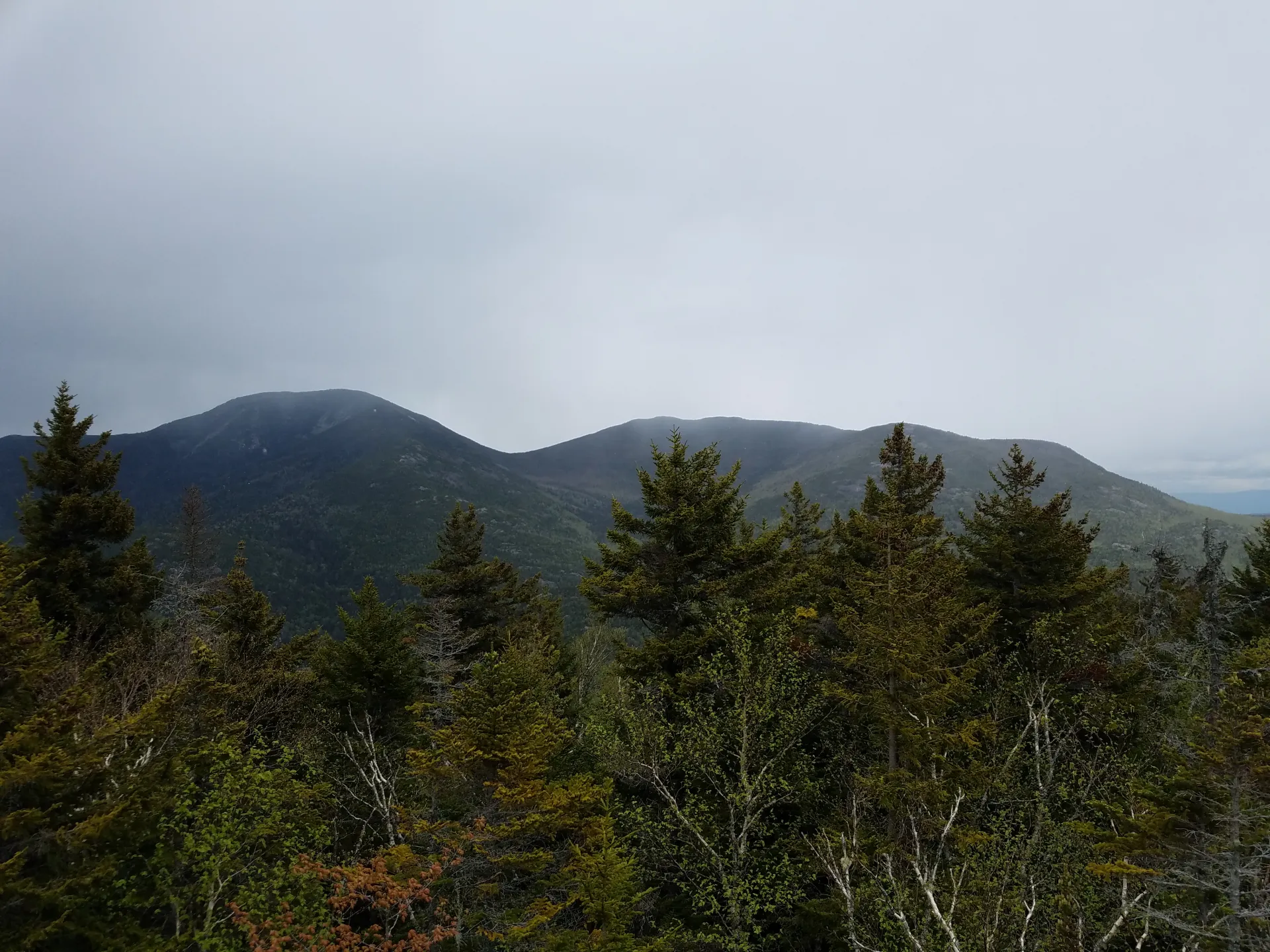 The view of a couple mountains over some trees