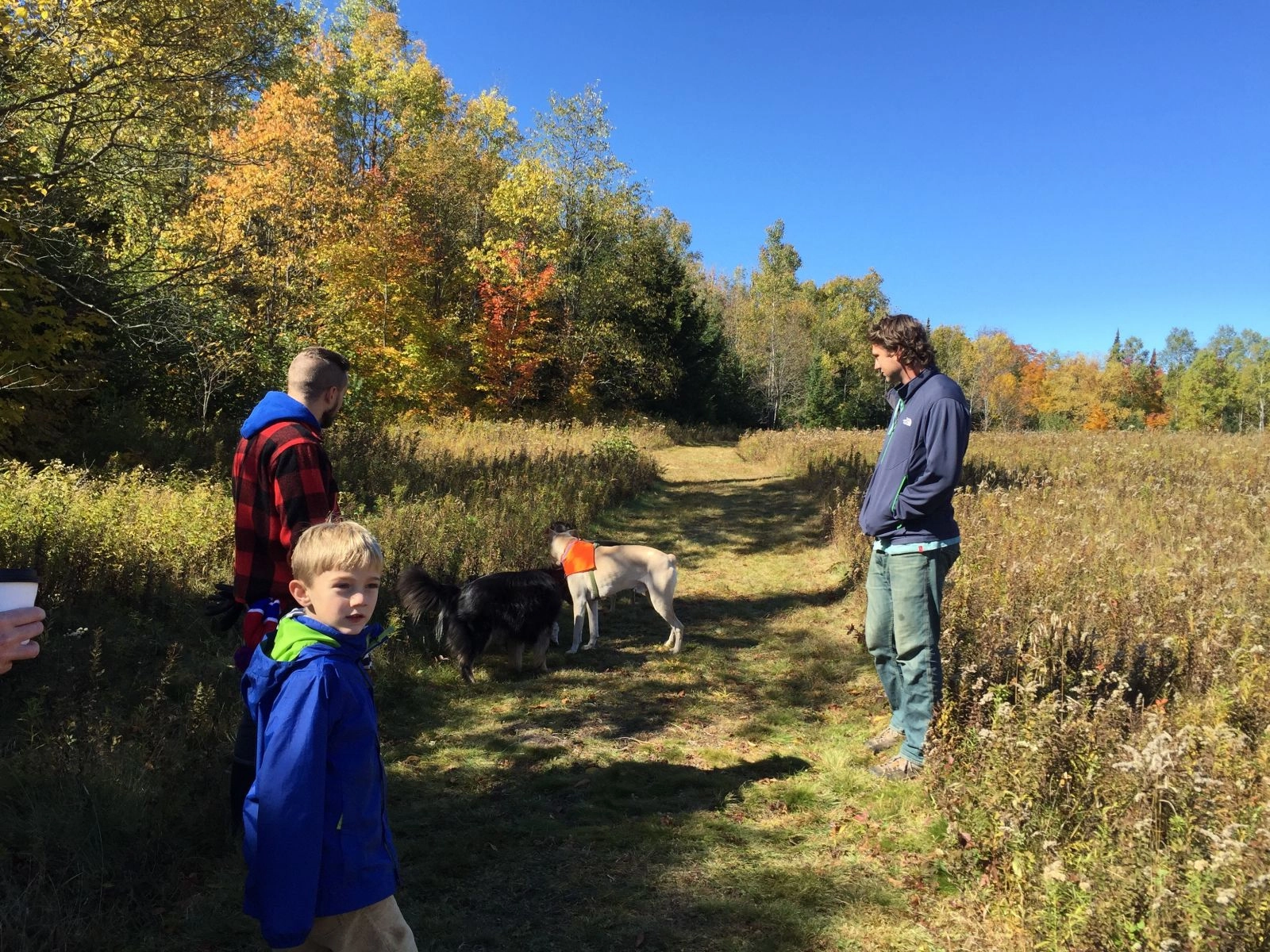 Kids, dogs, fields, views... awesome!