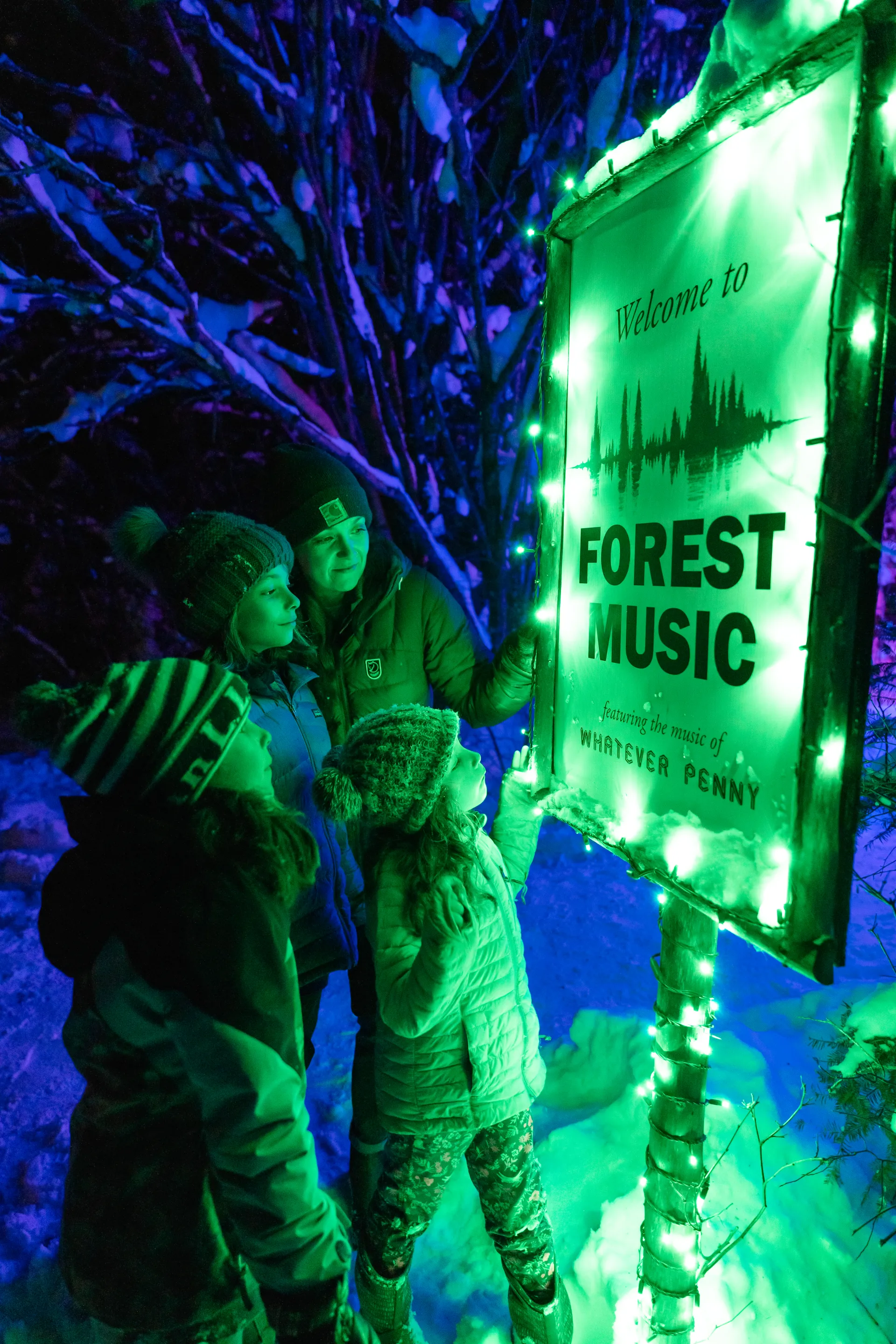 Wild Lights 
