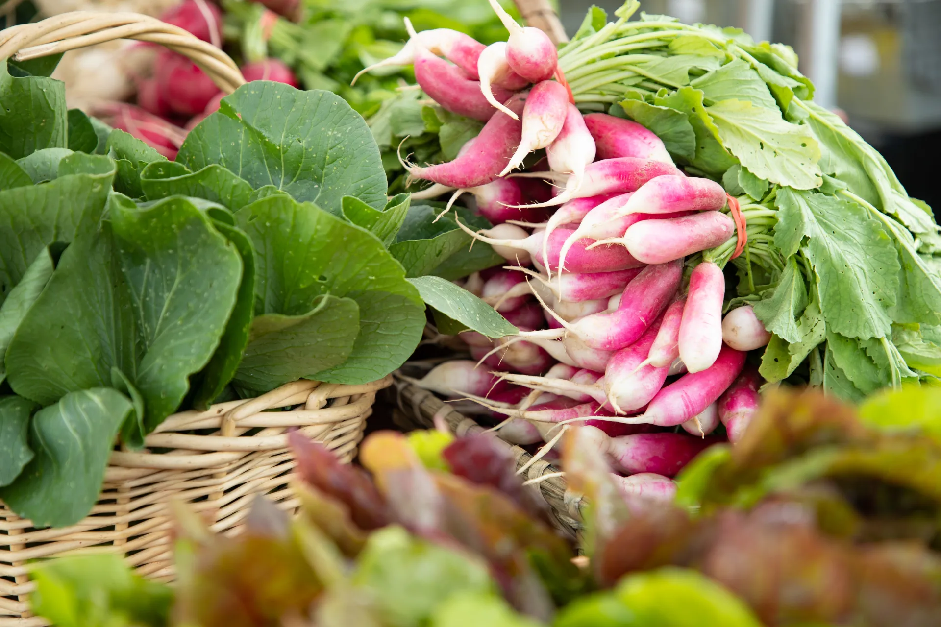 Yes, the Adirondacks have local farms.