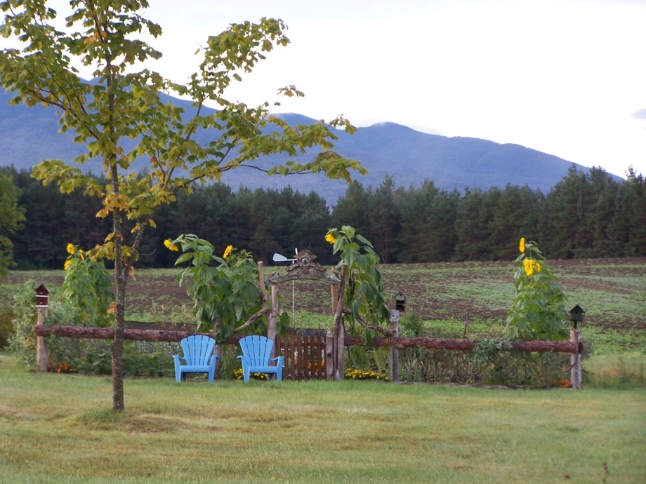 Potato fields