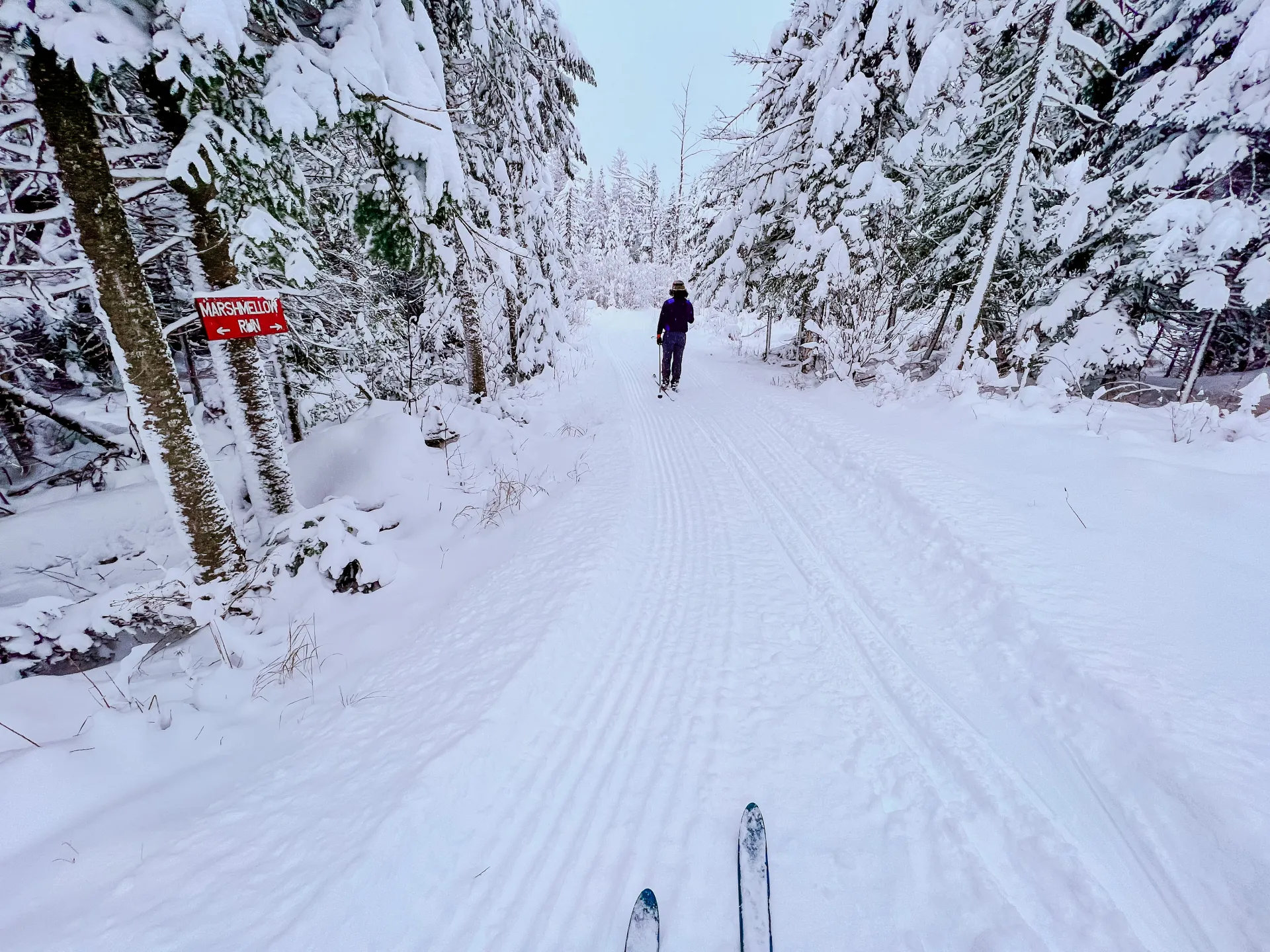First person of someone skiing on xc trails