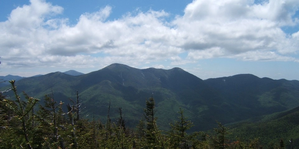 A view of tree-covered mountains from a summit
