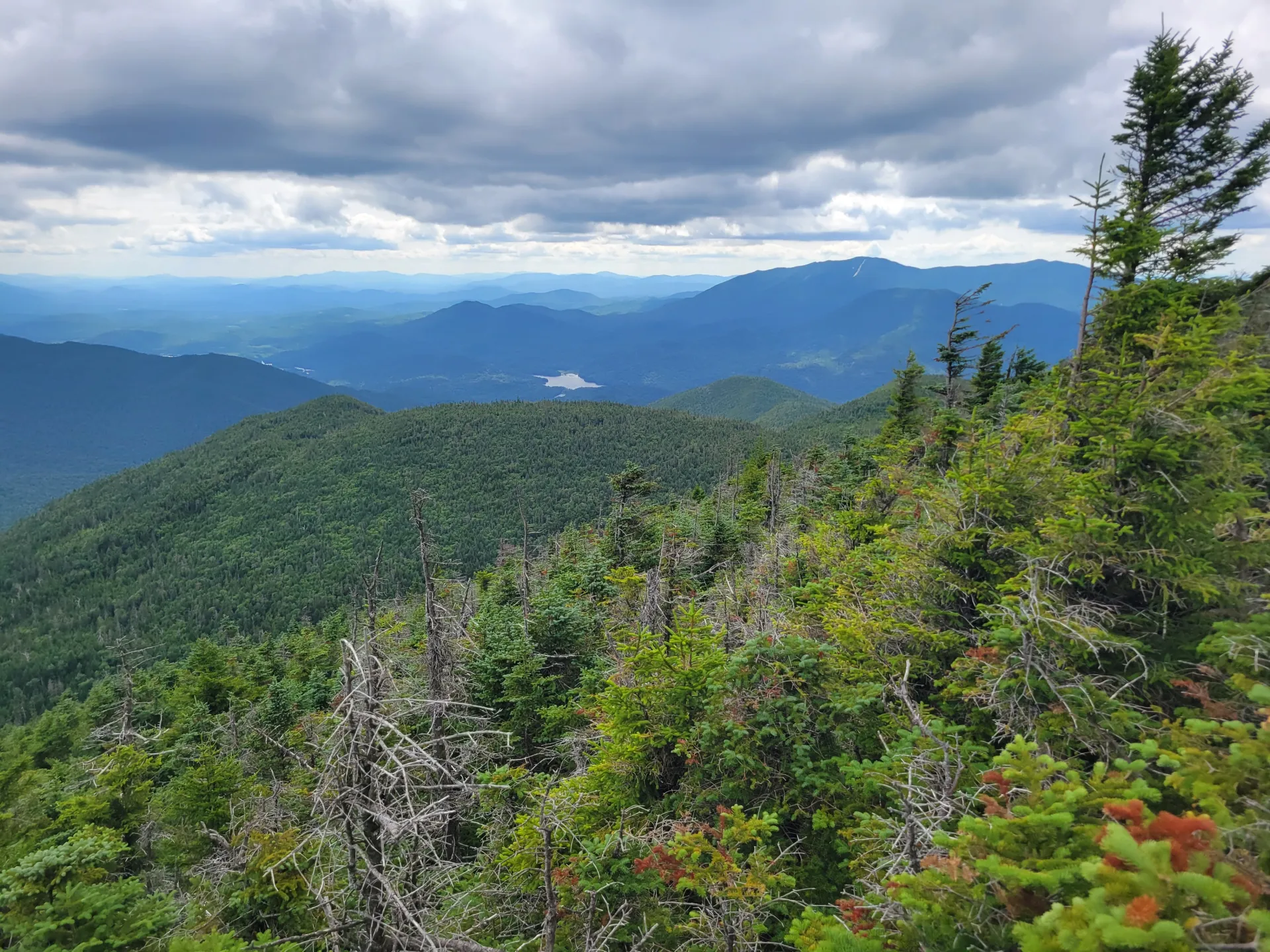 Endless green mountains seen from a summit