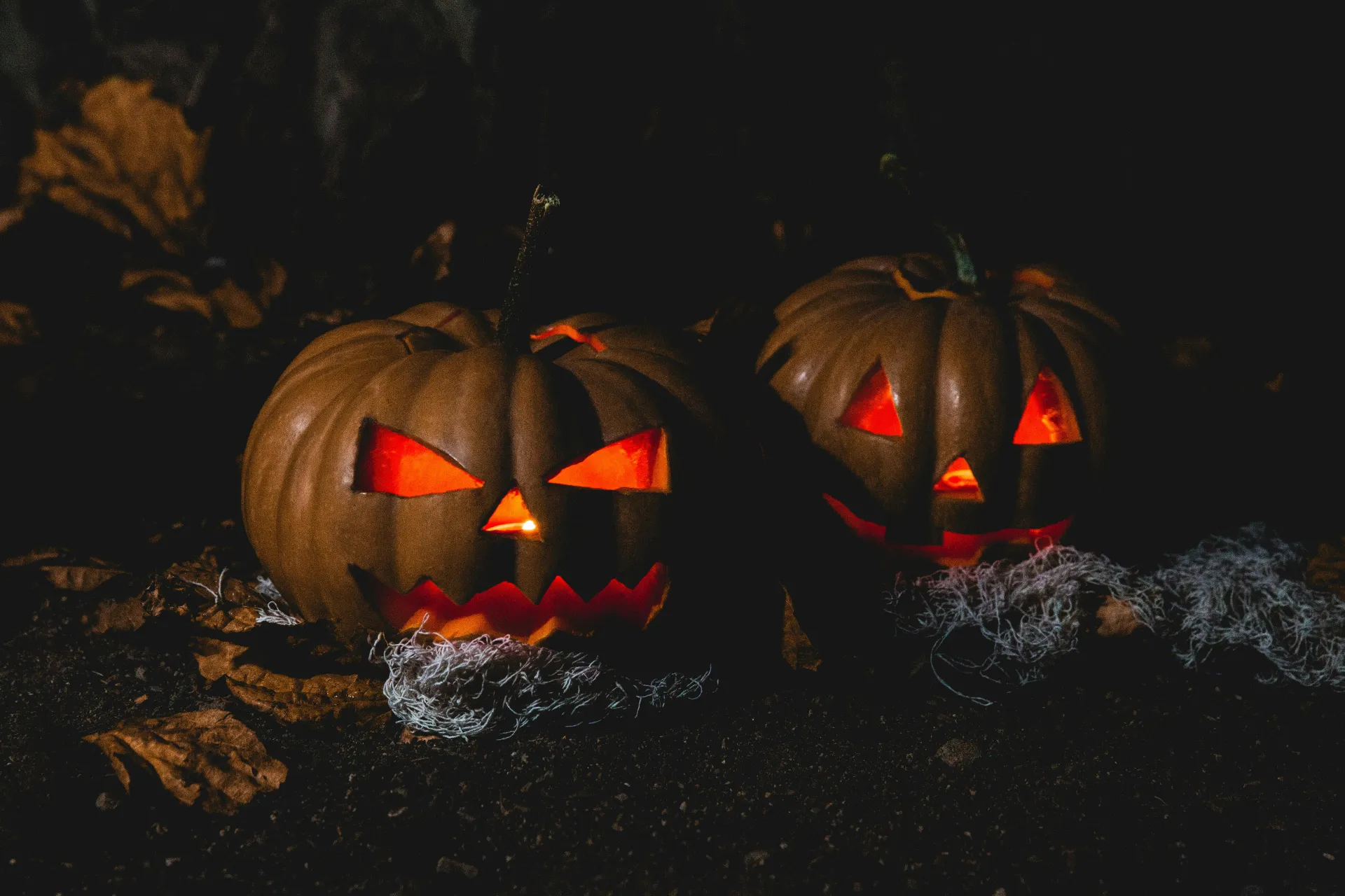 Stock image of two lit jack-o-lanterns inthe dark