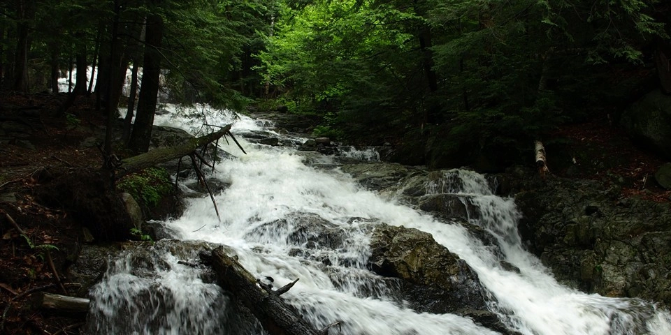 A cascading section of water