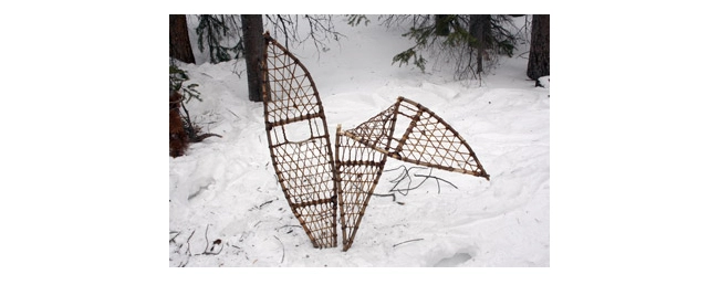 Snowshoe Care