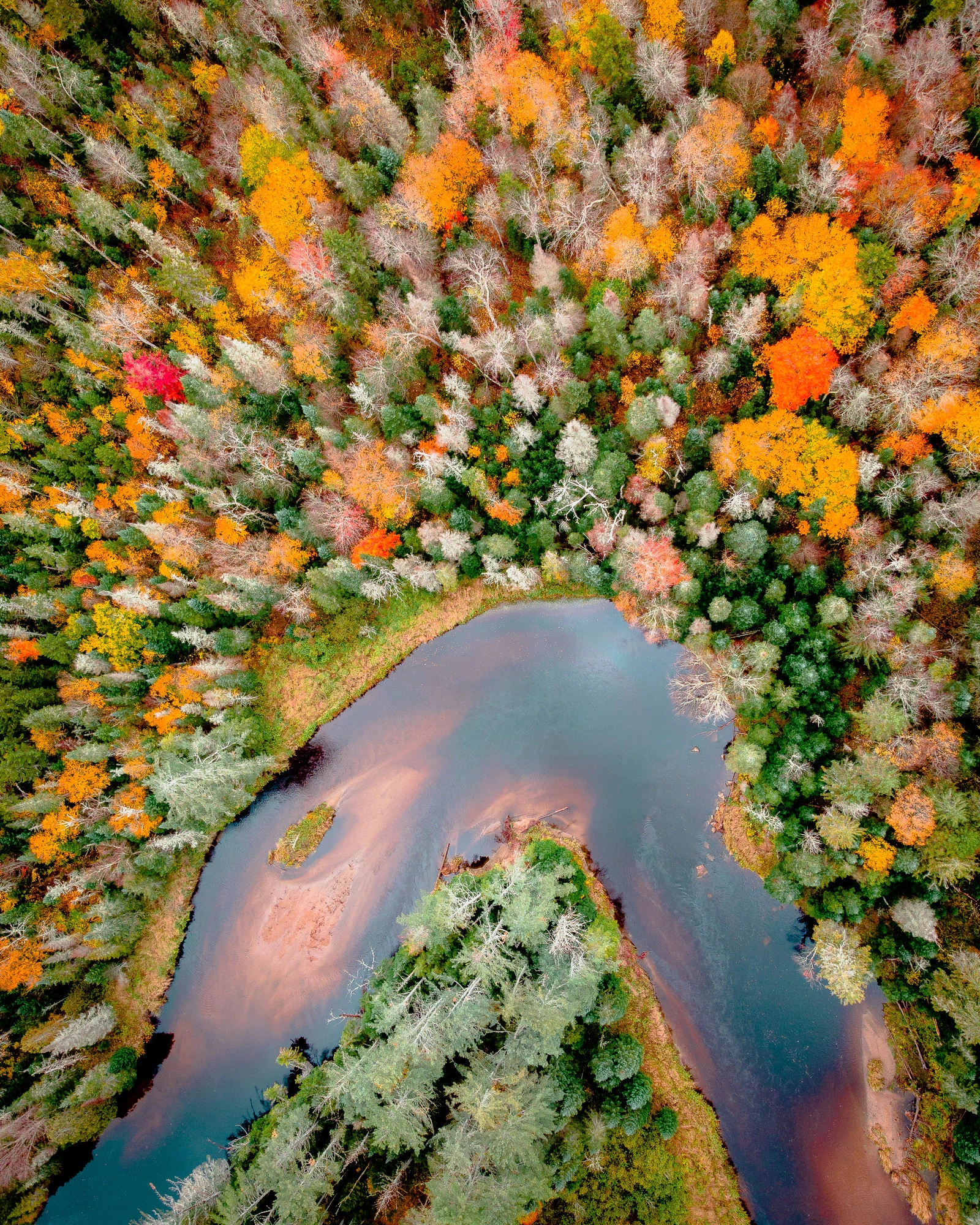 The Ausable River in the fall.