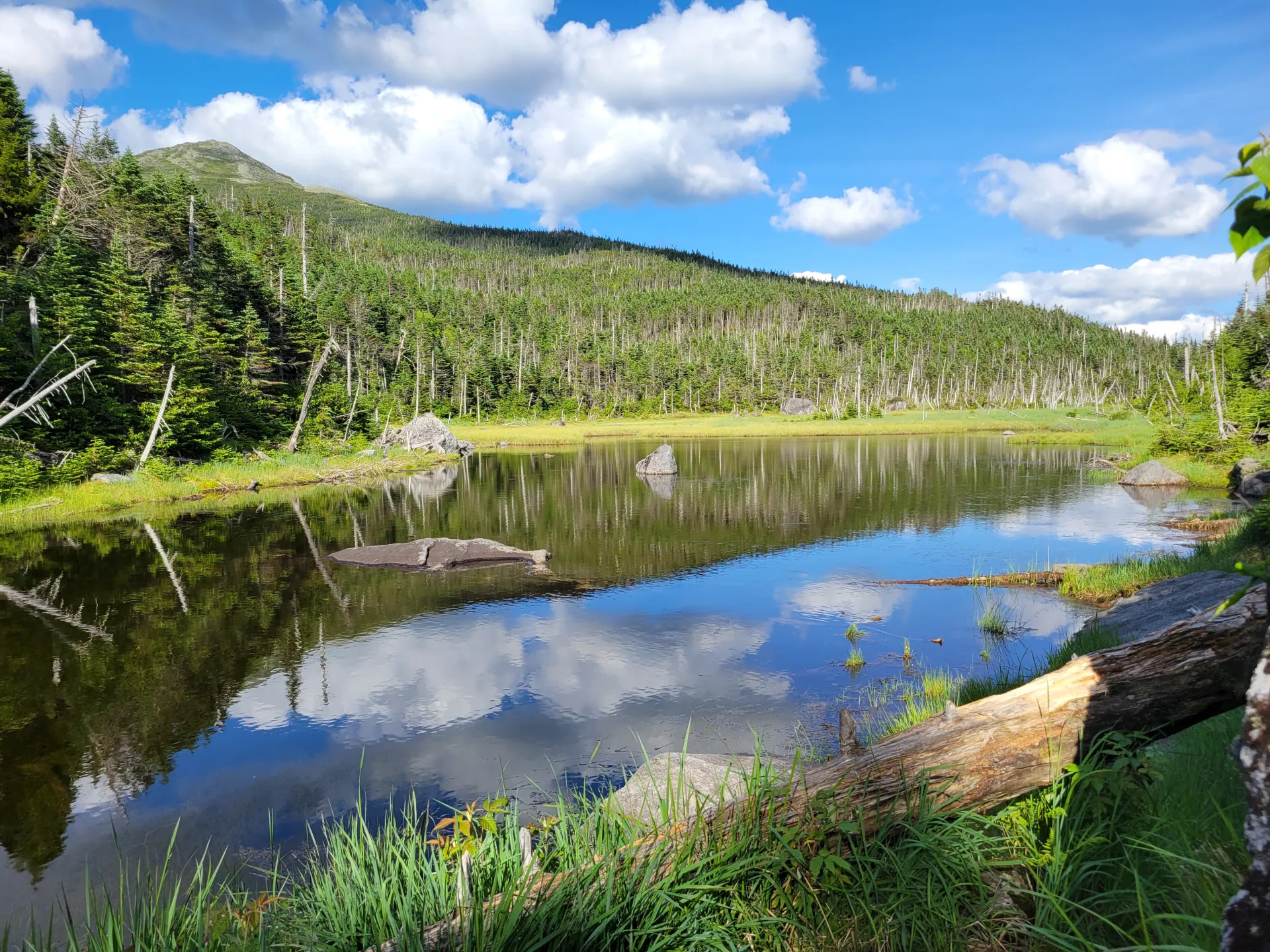 The view of a reflecting mountain pond