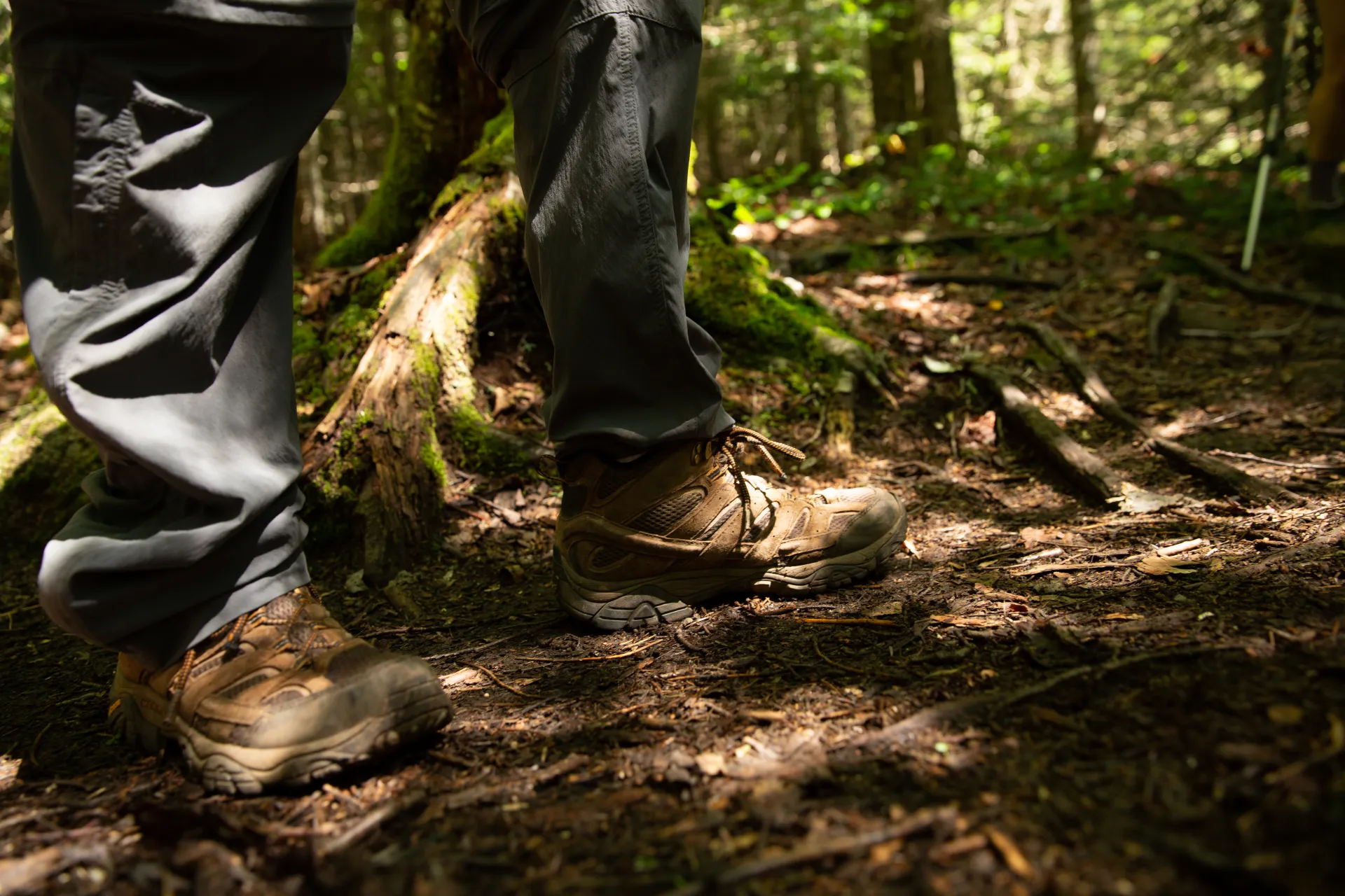 Hiking boots on the ground