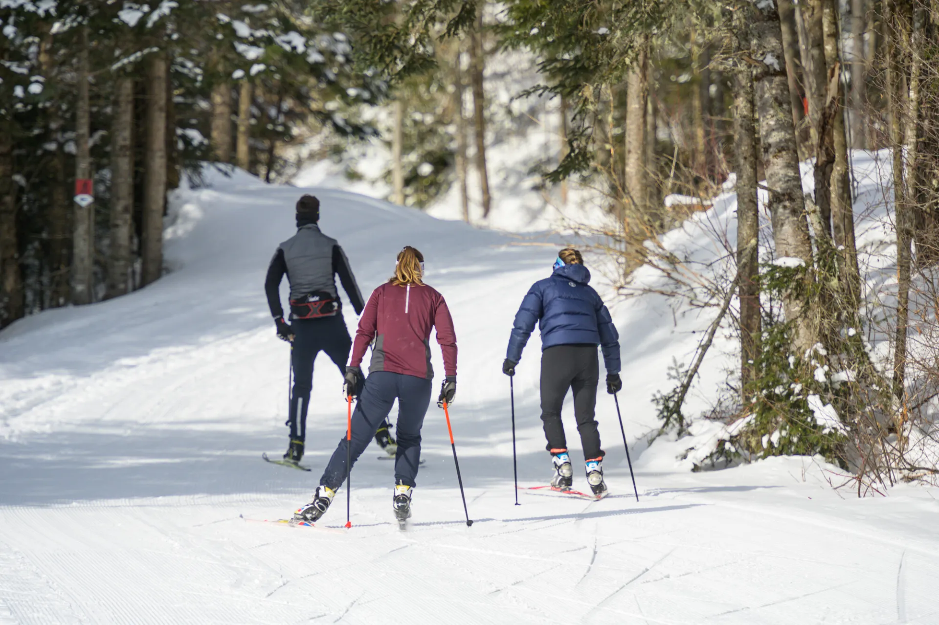 Three adults on cross-country skis ski away from the camera on a snowy woods trail.