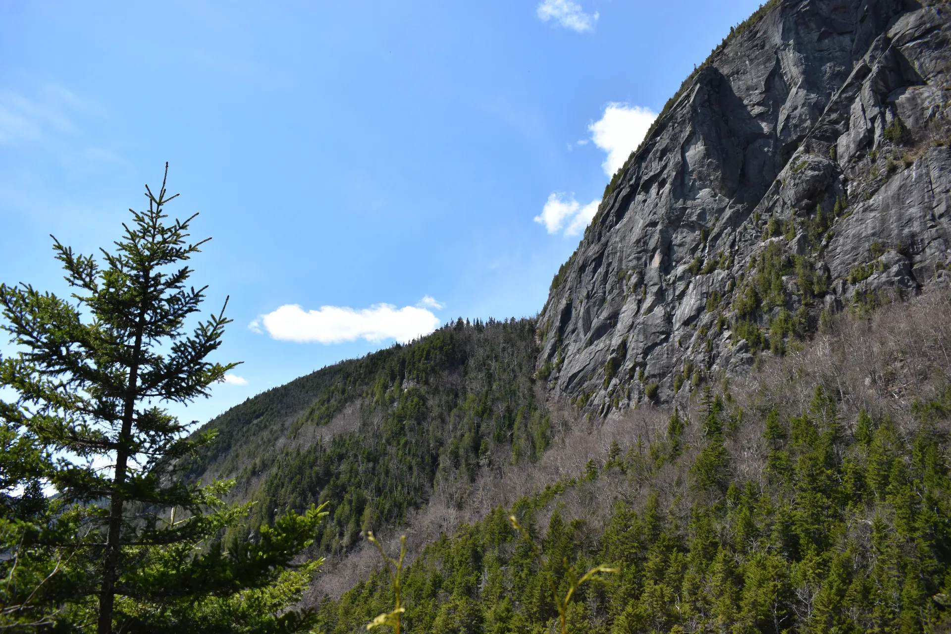 A tall rock cliff