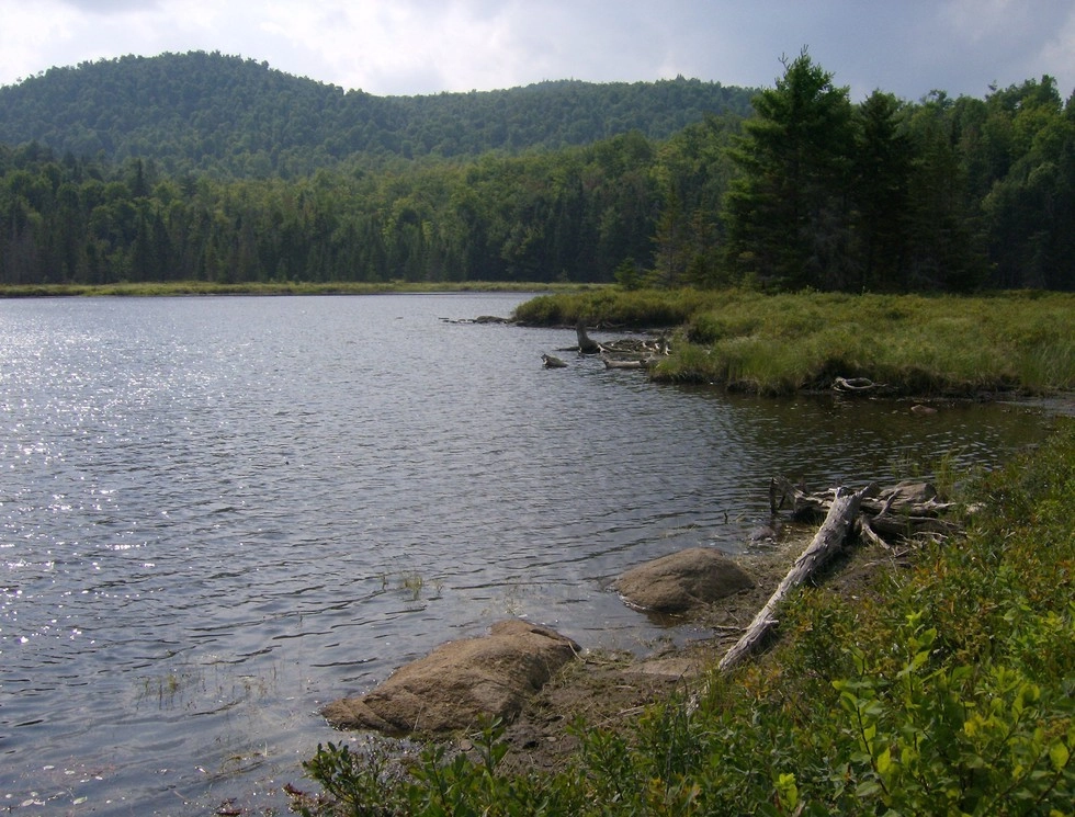 Tom Peck is a lovely scenic pond.