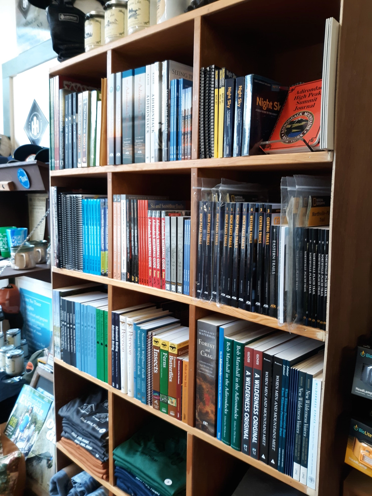 Shelves of colorful books