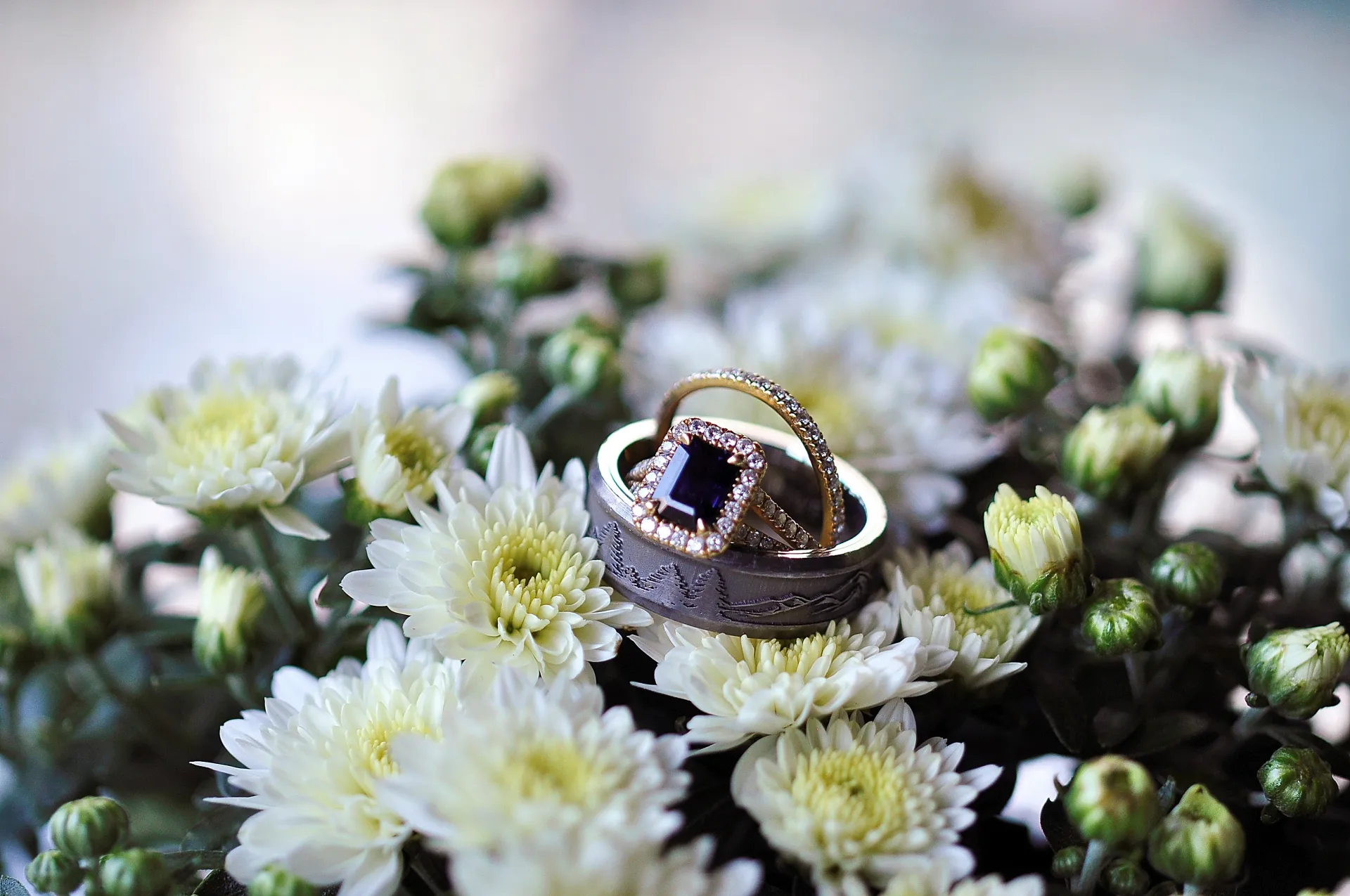 Wedding bands sitting atop the white chrysanthemum blooms