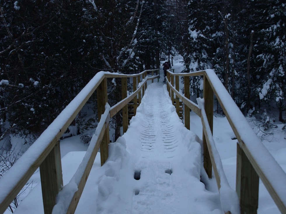 There are bridges to traverse the trickiest parts of the Tabletop trail.
