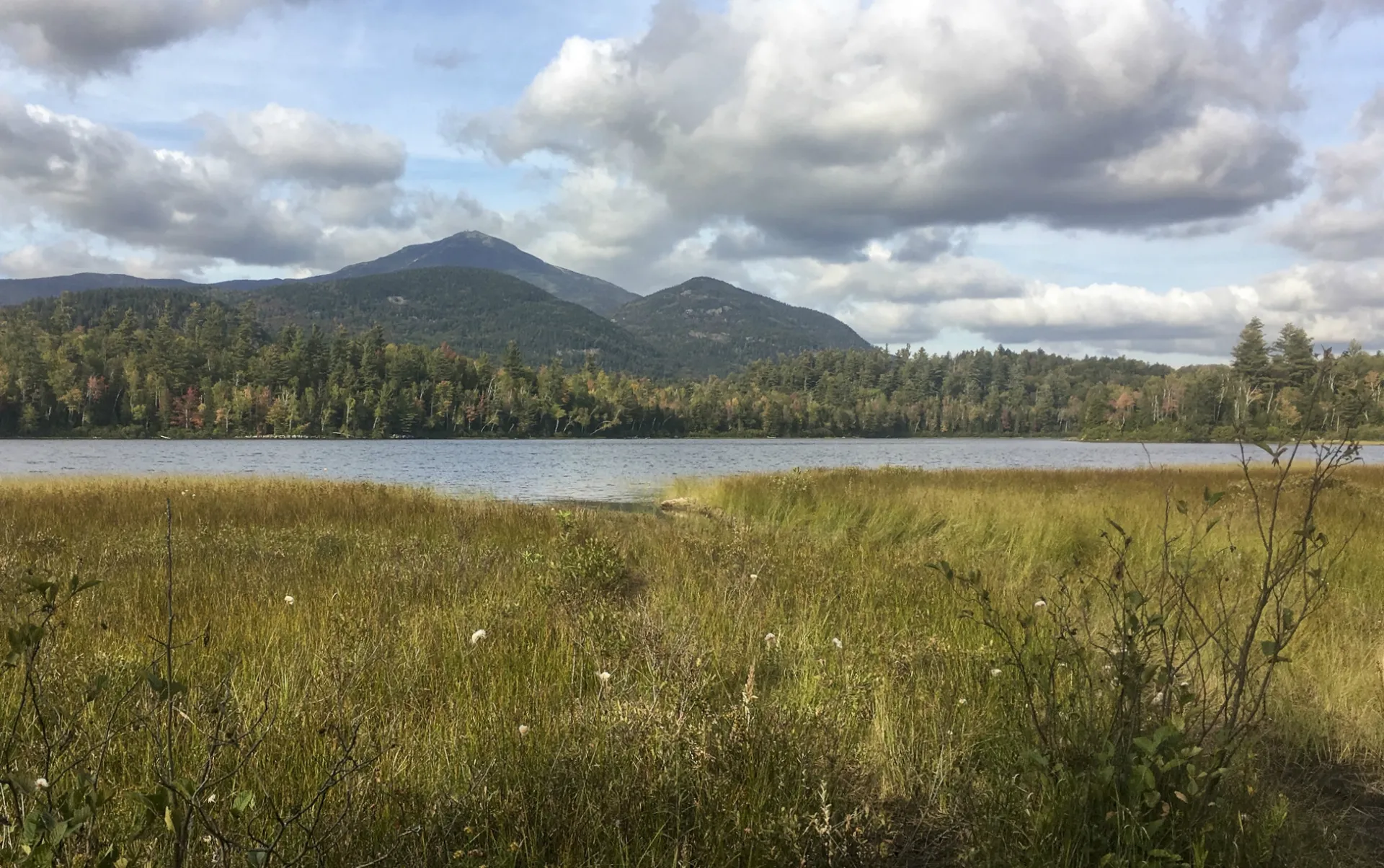 A tall mountain behind a pond