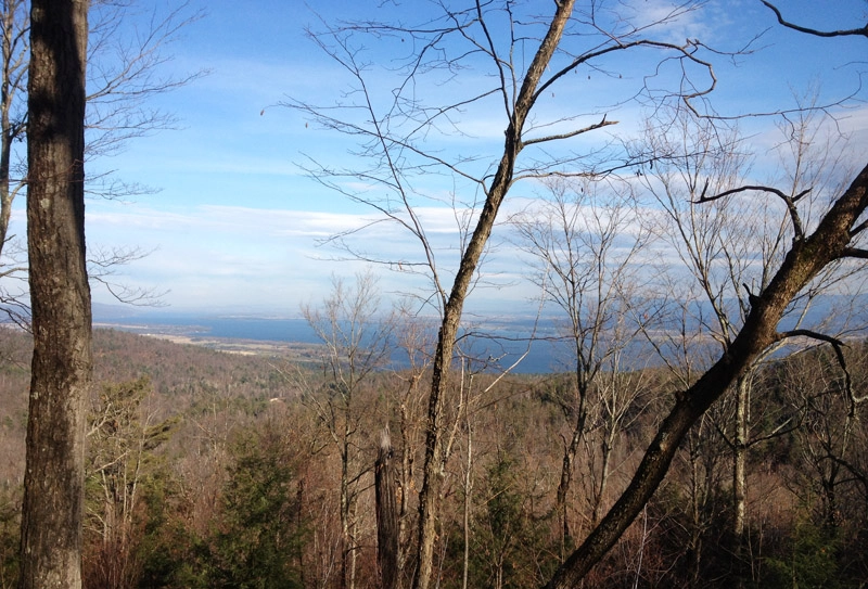 Cheney Trail view one