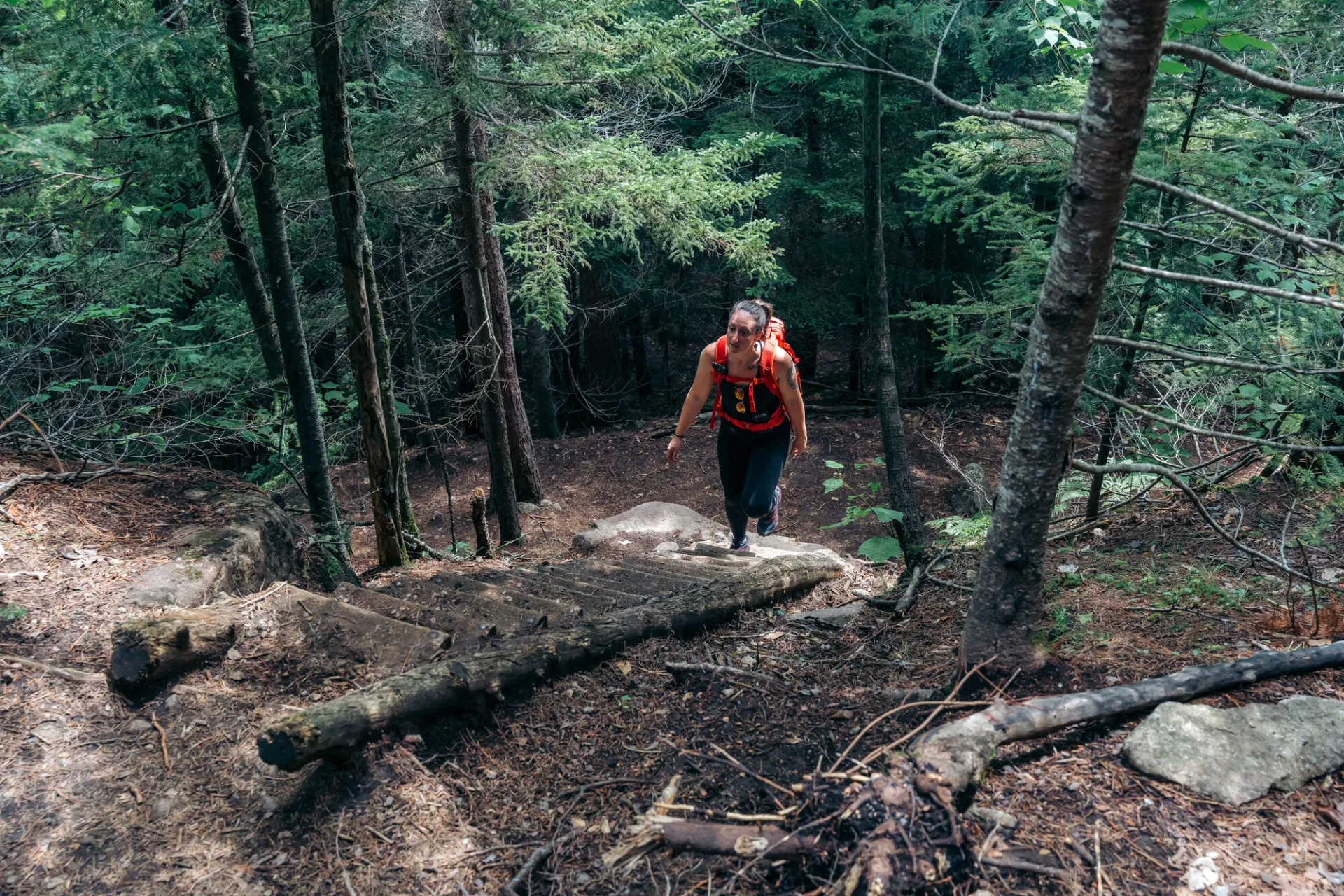 Hiker walks up wooden ladder on forested trail
