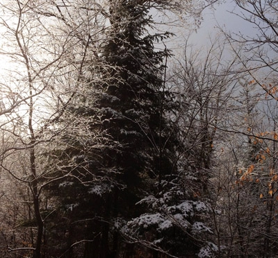 first snow