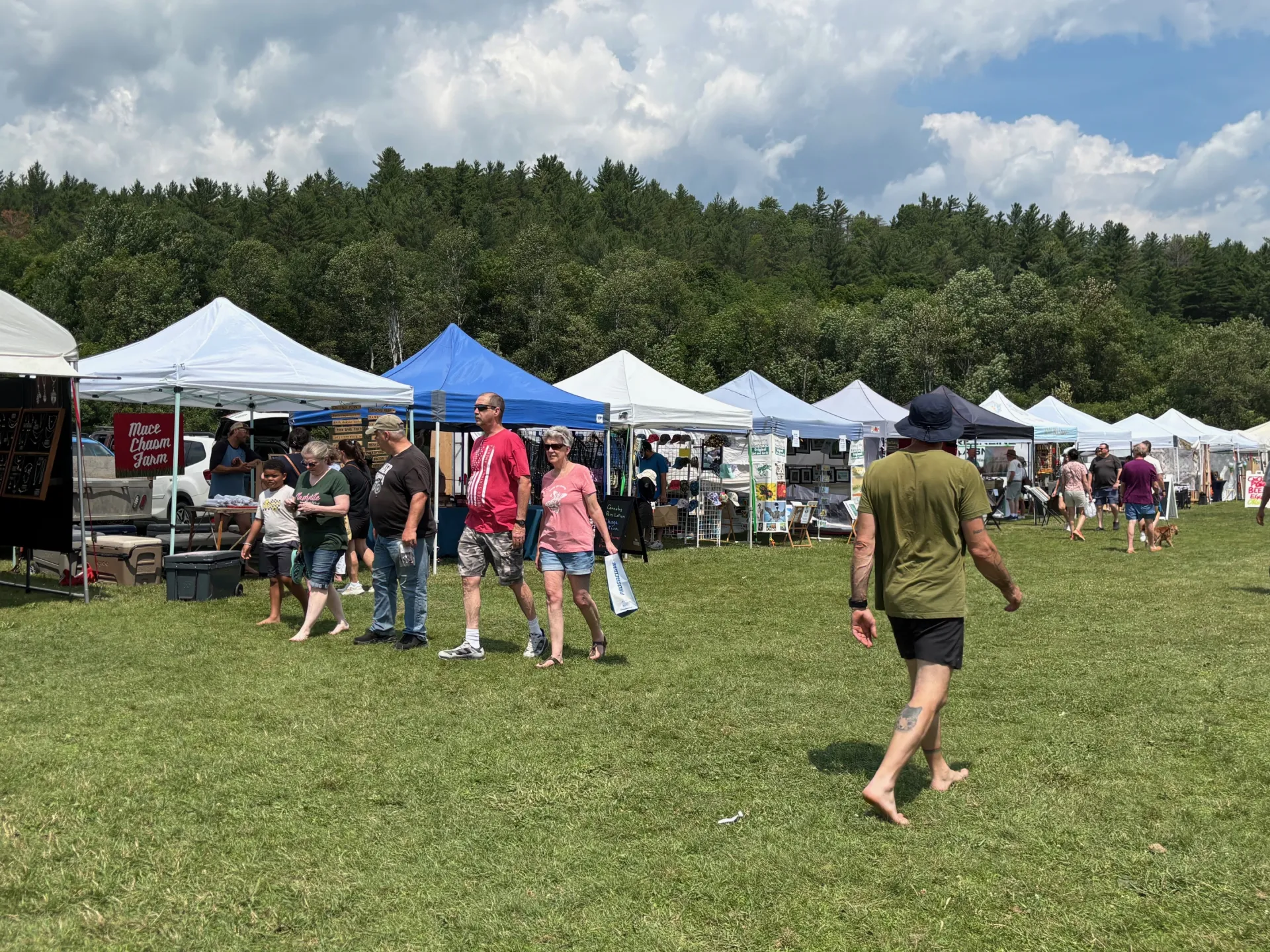 A long line of vendors tents with shoppers mulling around.