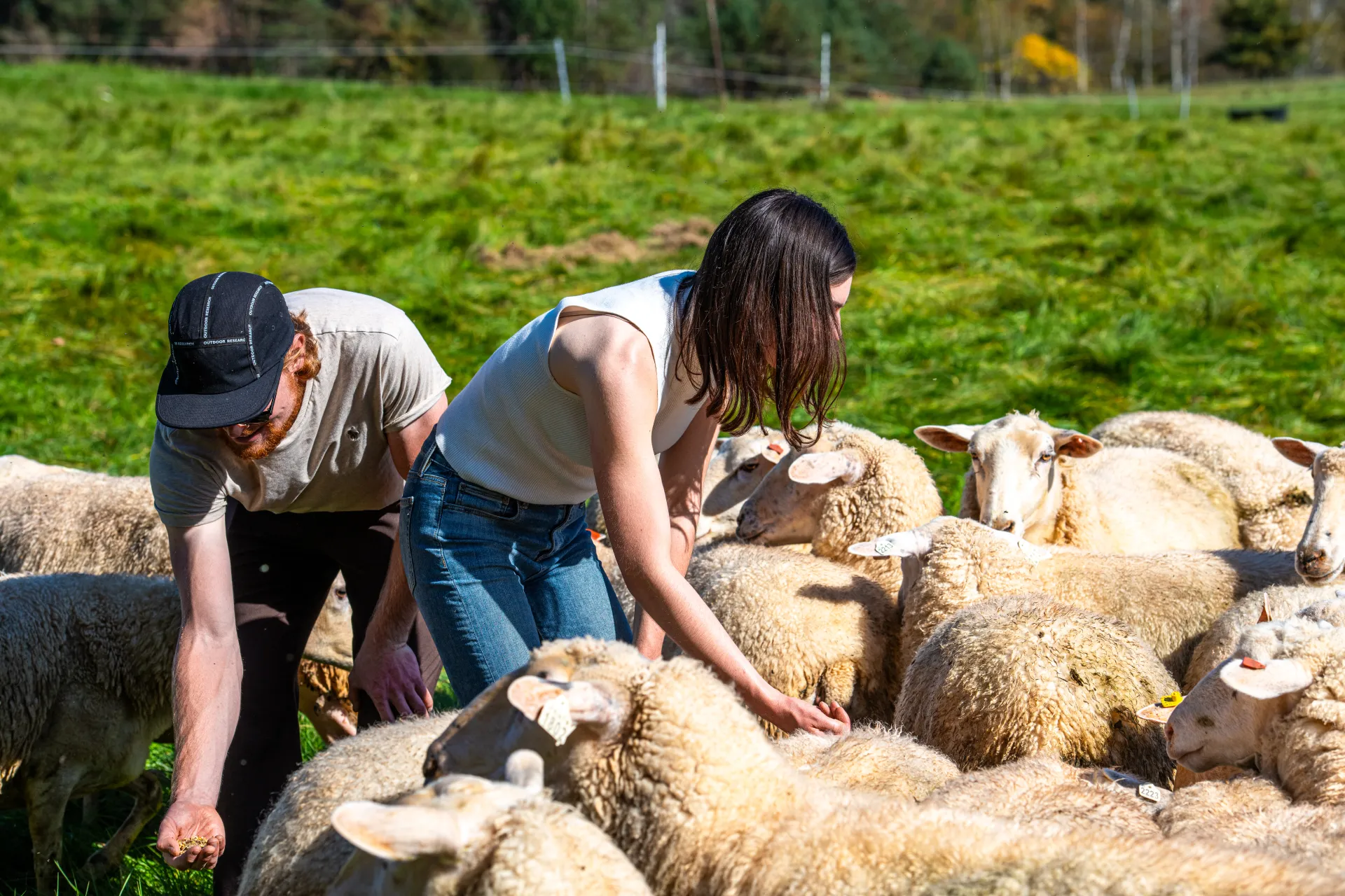 farming