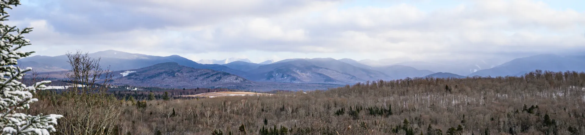 A photo of a wintery landscape from Henry's Woods.