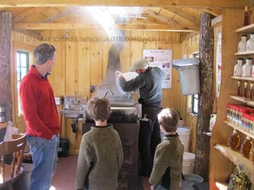 Making maple at the golden arrow
