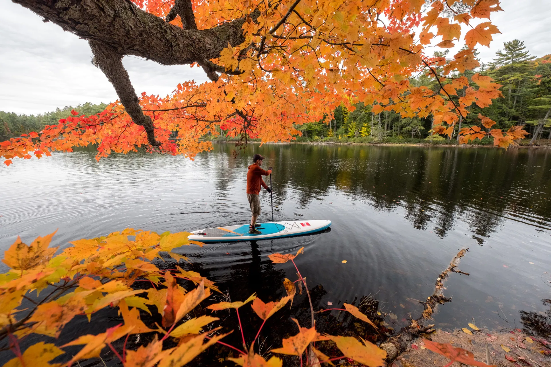 A person paddleboarding through fall foliage.