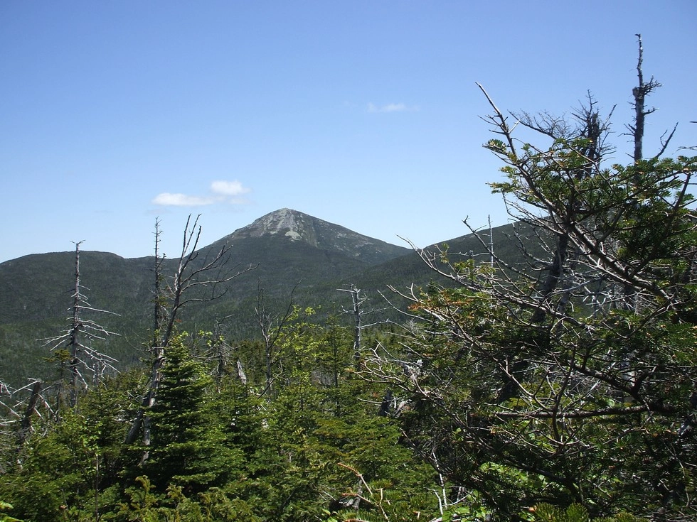 Mount Redfield seen in the distance as part of the range.
