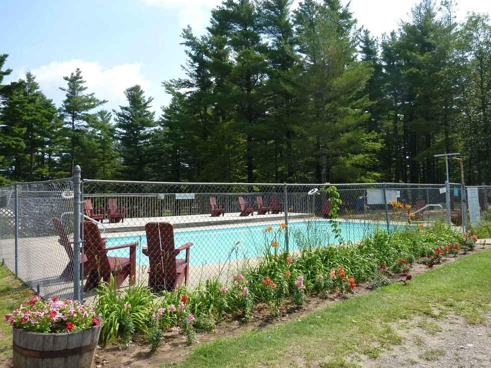 The in ground pool surrounded by flowers and Adirondack chairs.