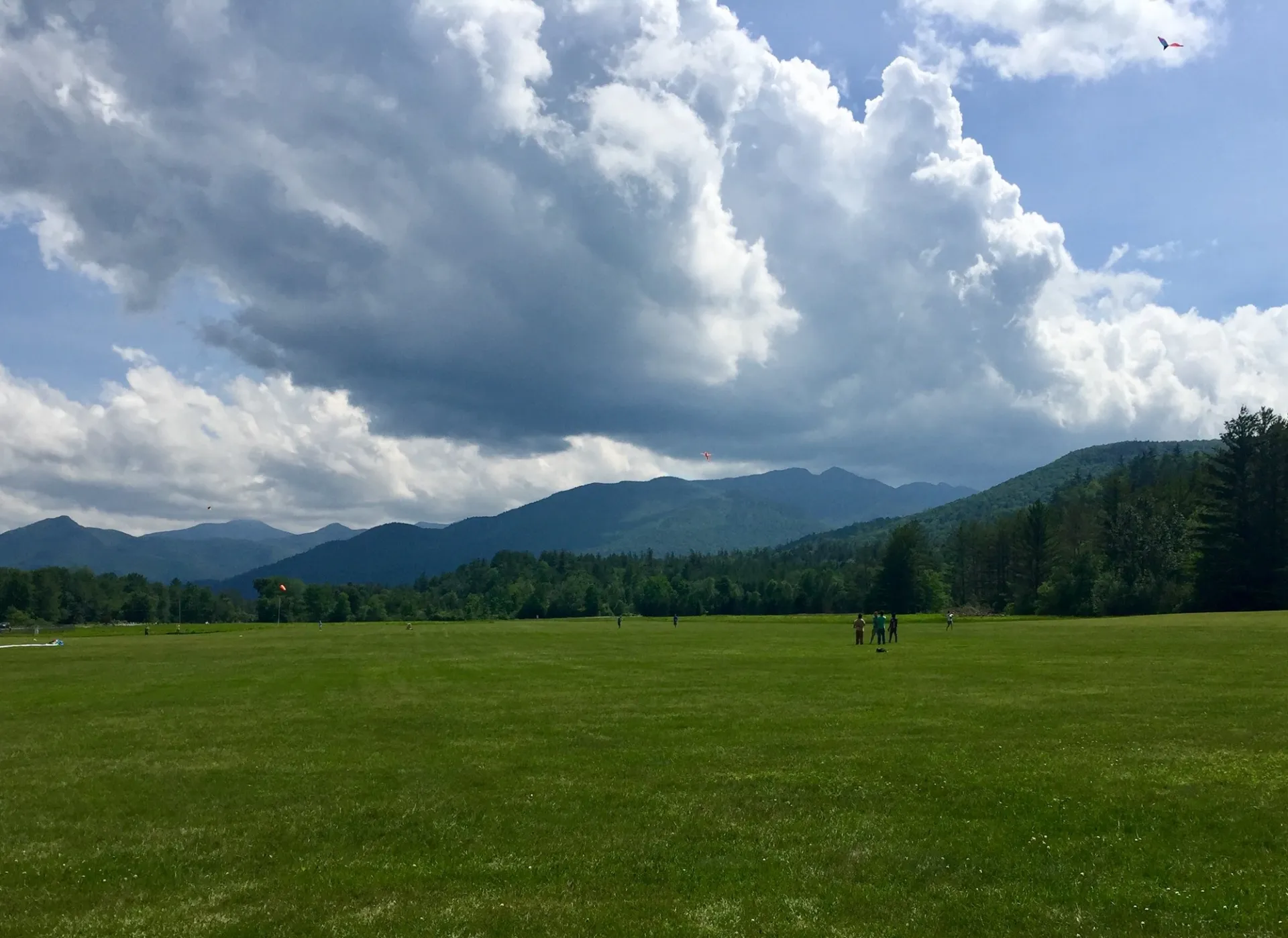 The High Peaks seen from Marcy Field