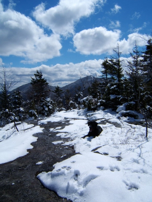 Summit Snow