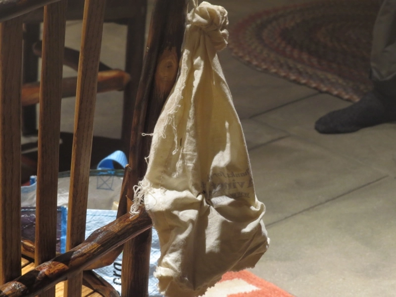 Northern Saw-whet Owl in bag