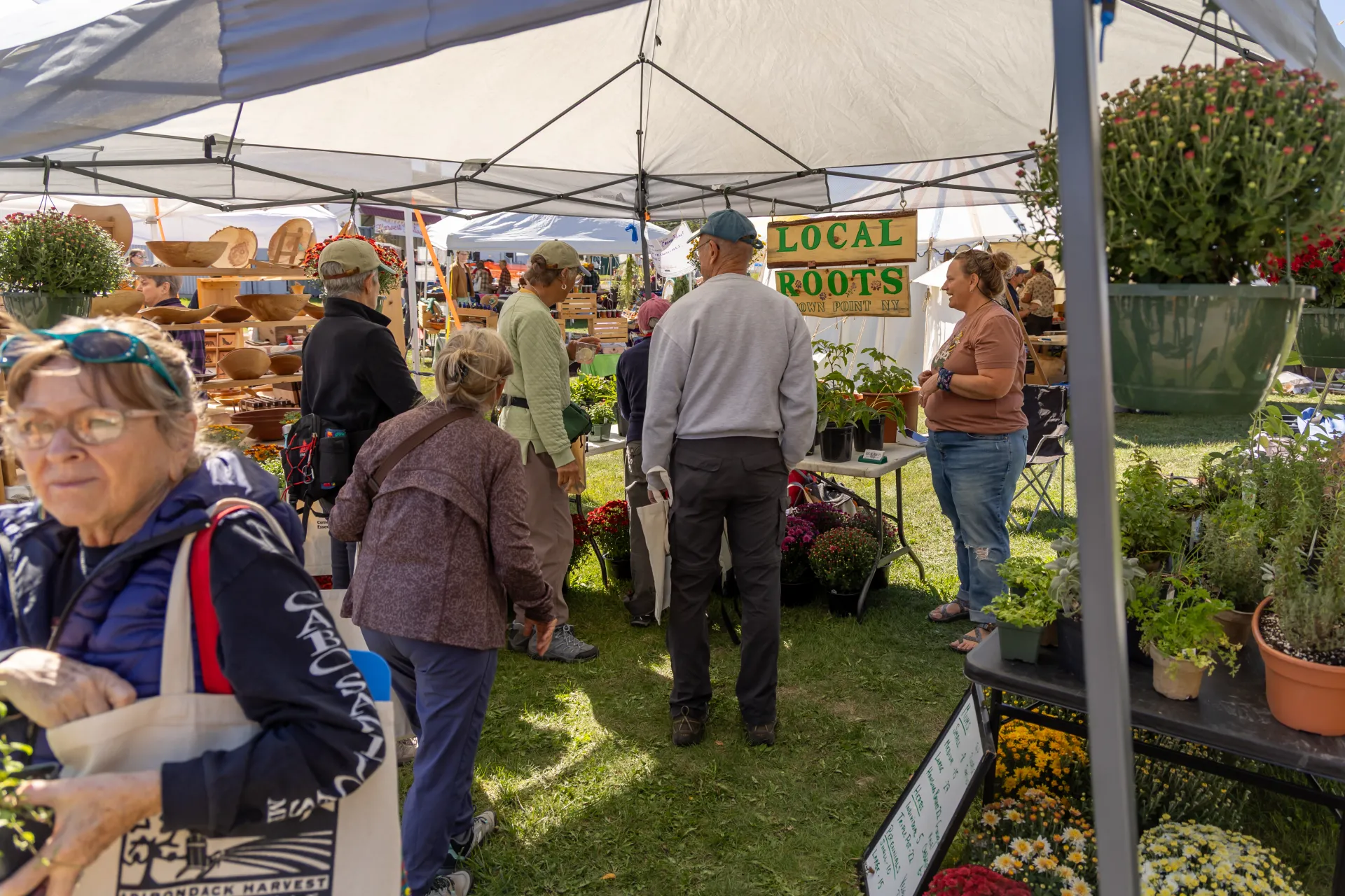 people shopping at vendors