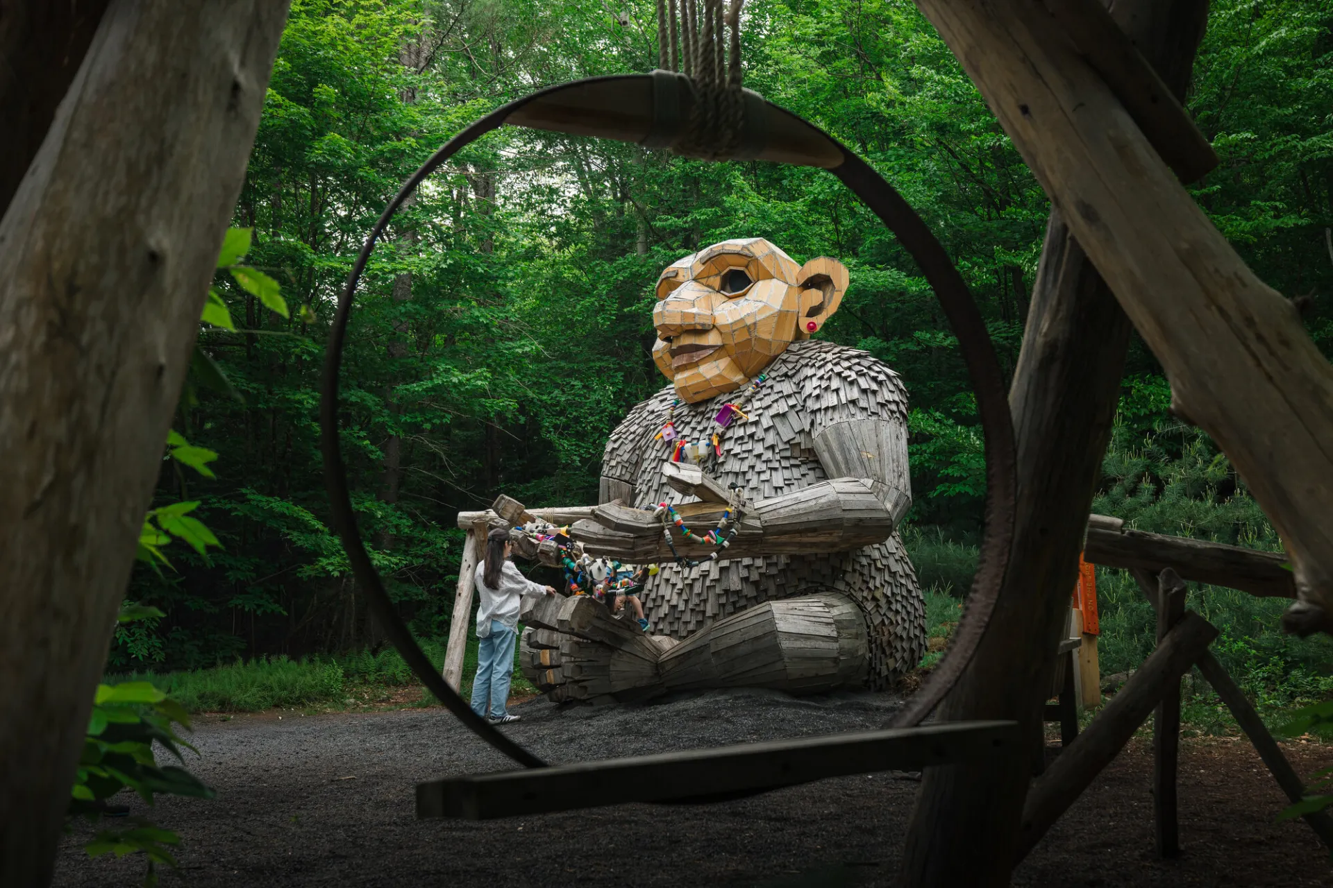 Wild Center Trolls