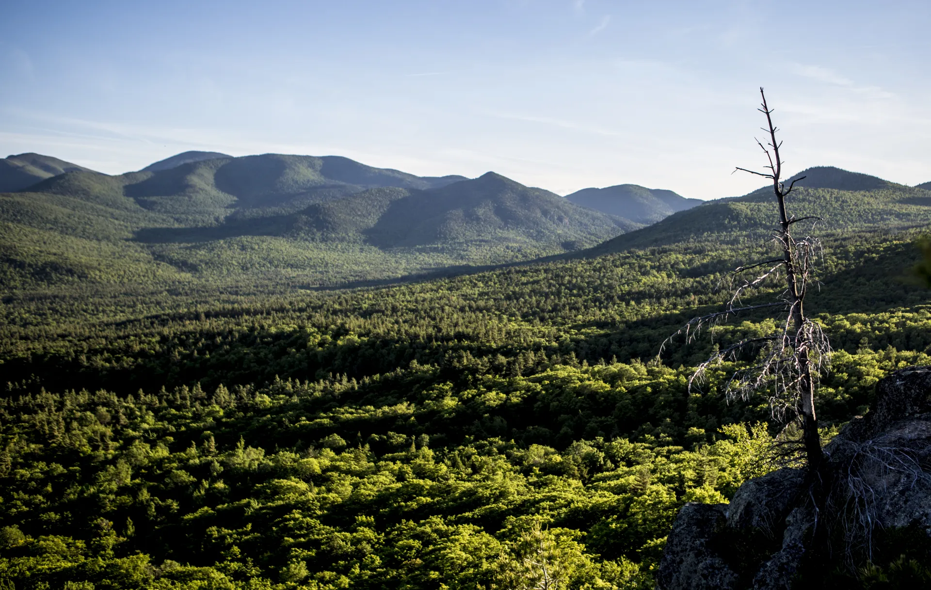 View near the trailhead. Enjoy a short pond walk.