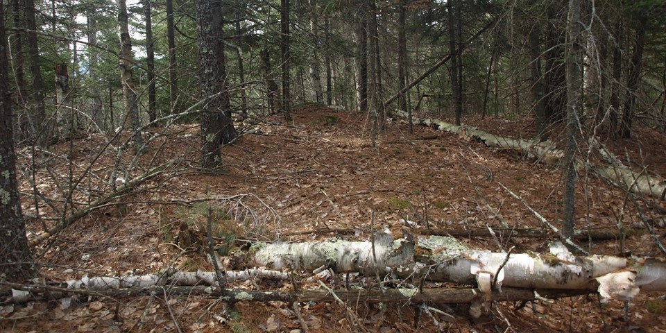 Easy trail that leads to an outlook.