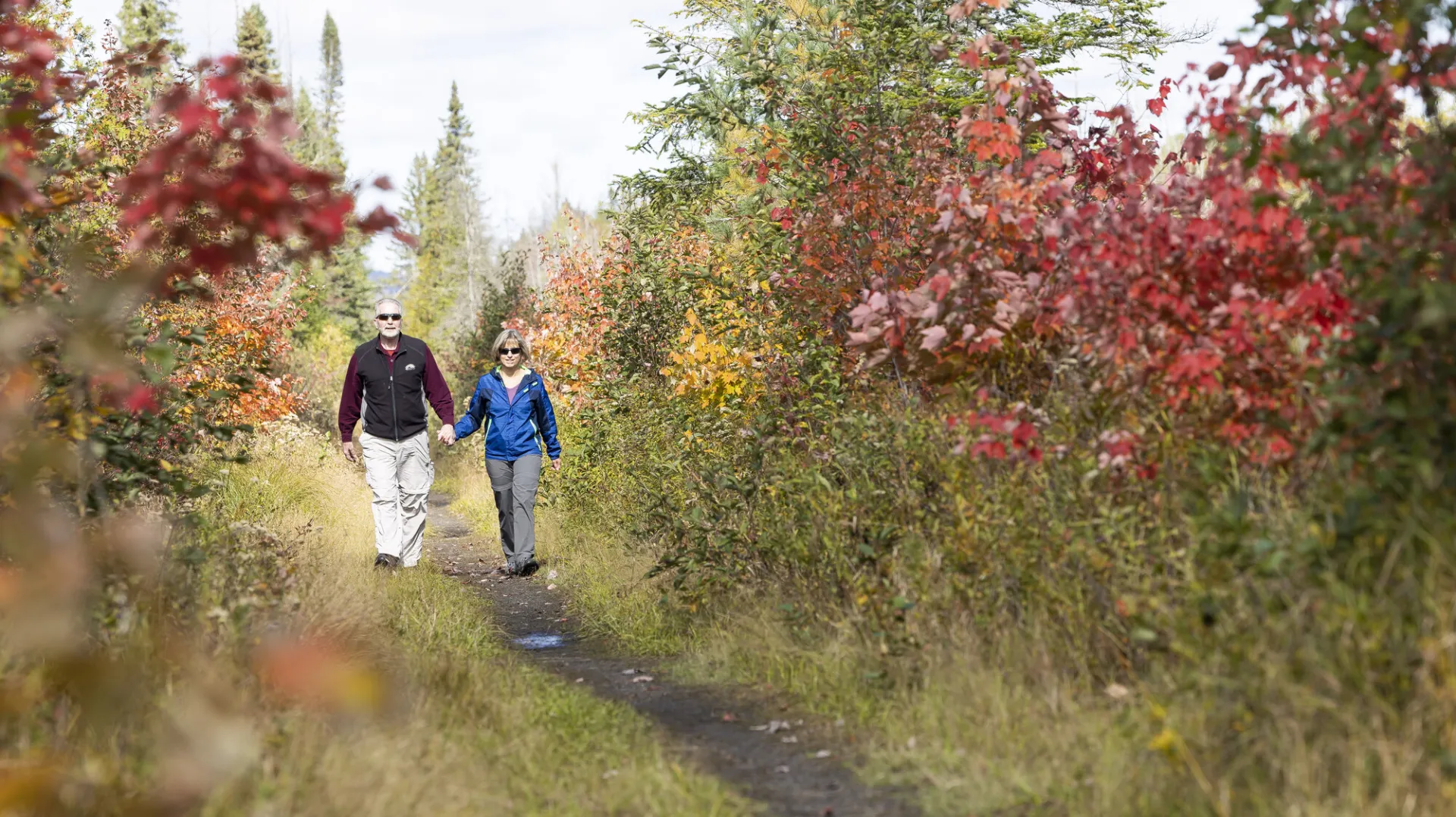 An older ccouple walking on the Bloomingdale Bog trail in the fall