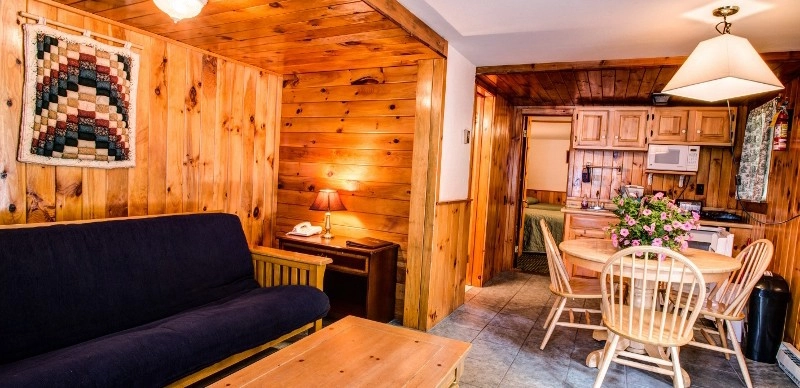 Knotty pine wall paneling and a futon.