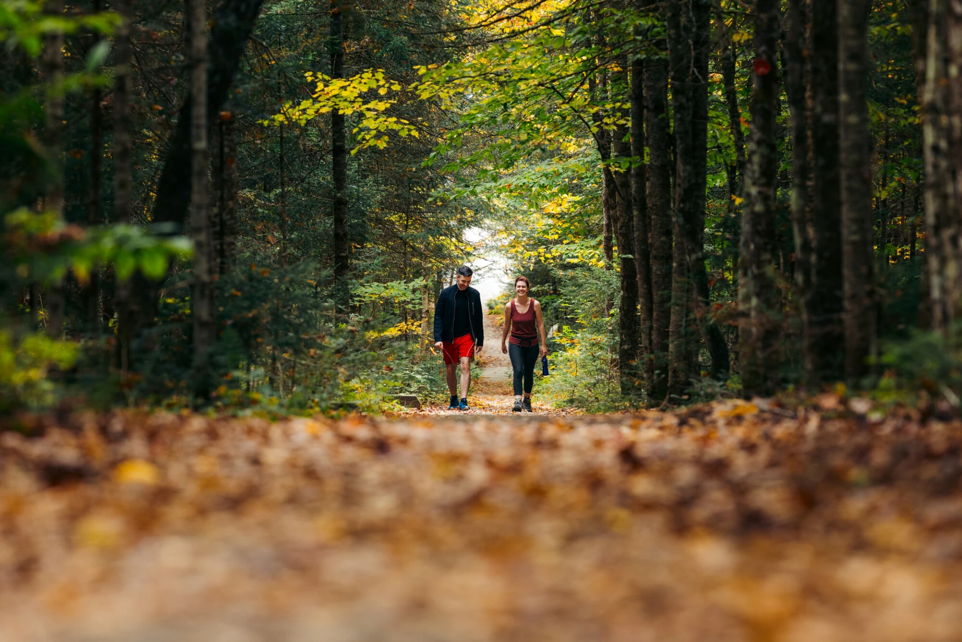 Couple hikes on leaf-littered trail under canopy of green and yellow leaves