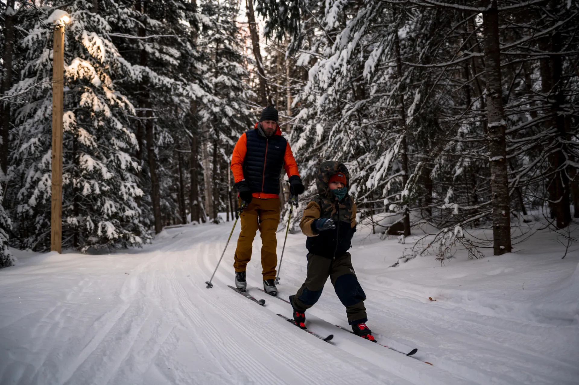 Man and boy cross-country ski on snowy wooded trail at dusk