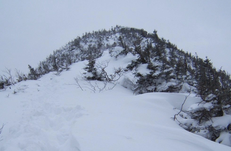 Here's the summit, so close now.