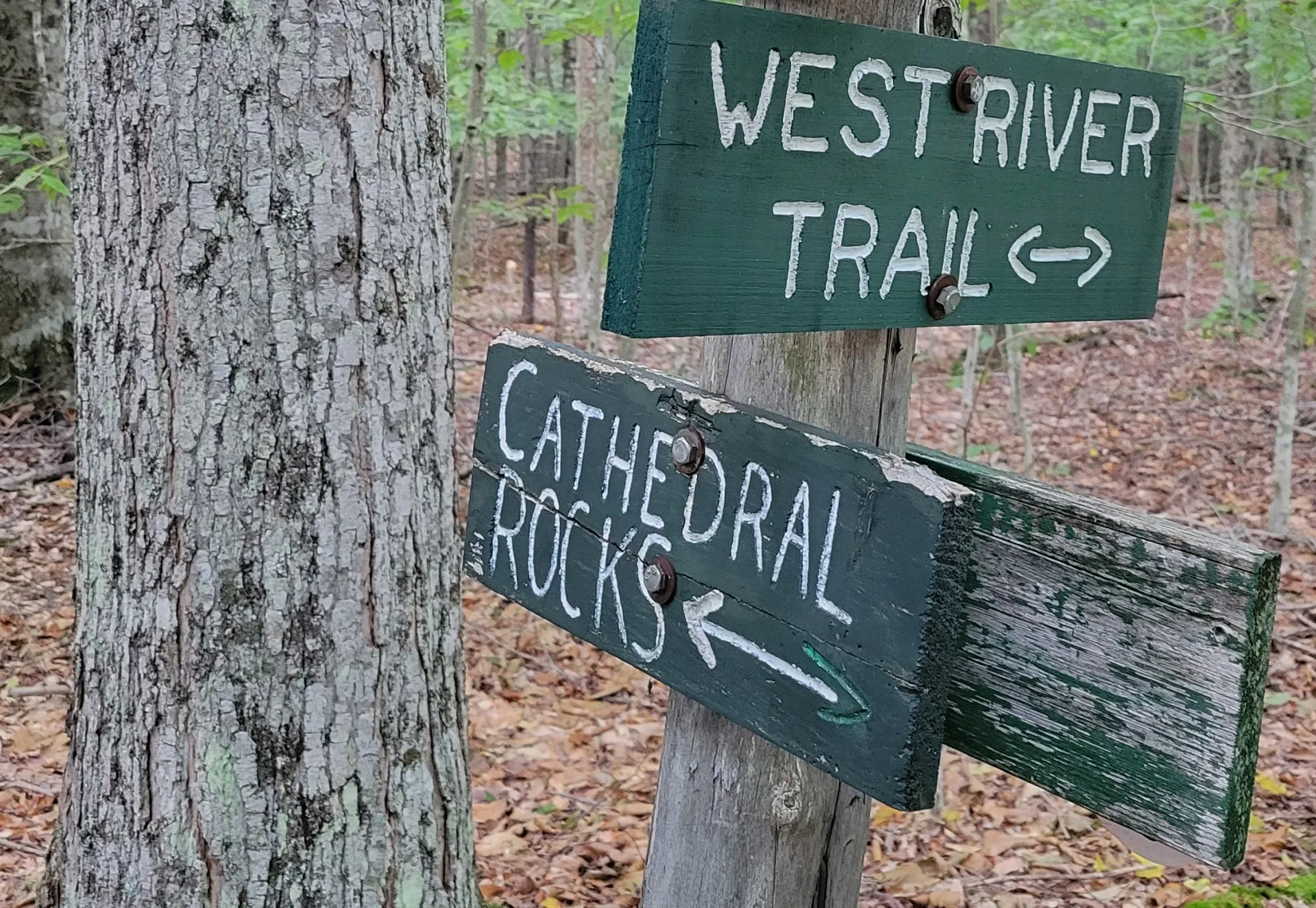 A wooden sign for Cathedral Rocks