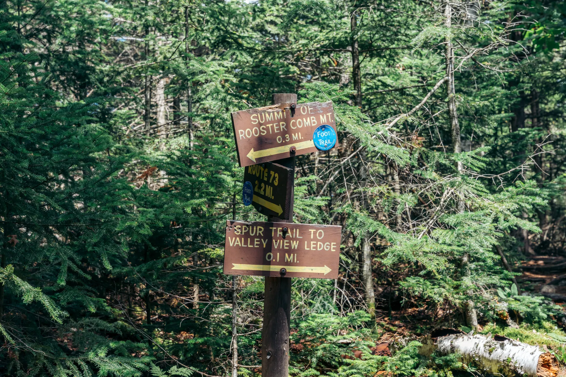 Brown and yellow trail signs at junction