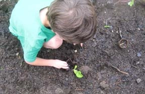 Gardening with Kids