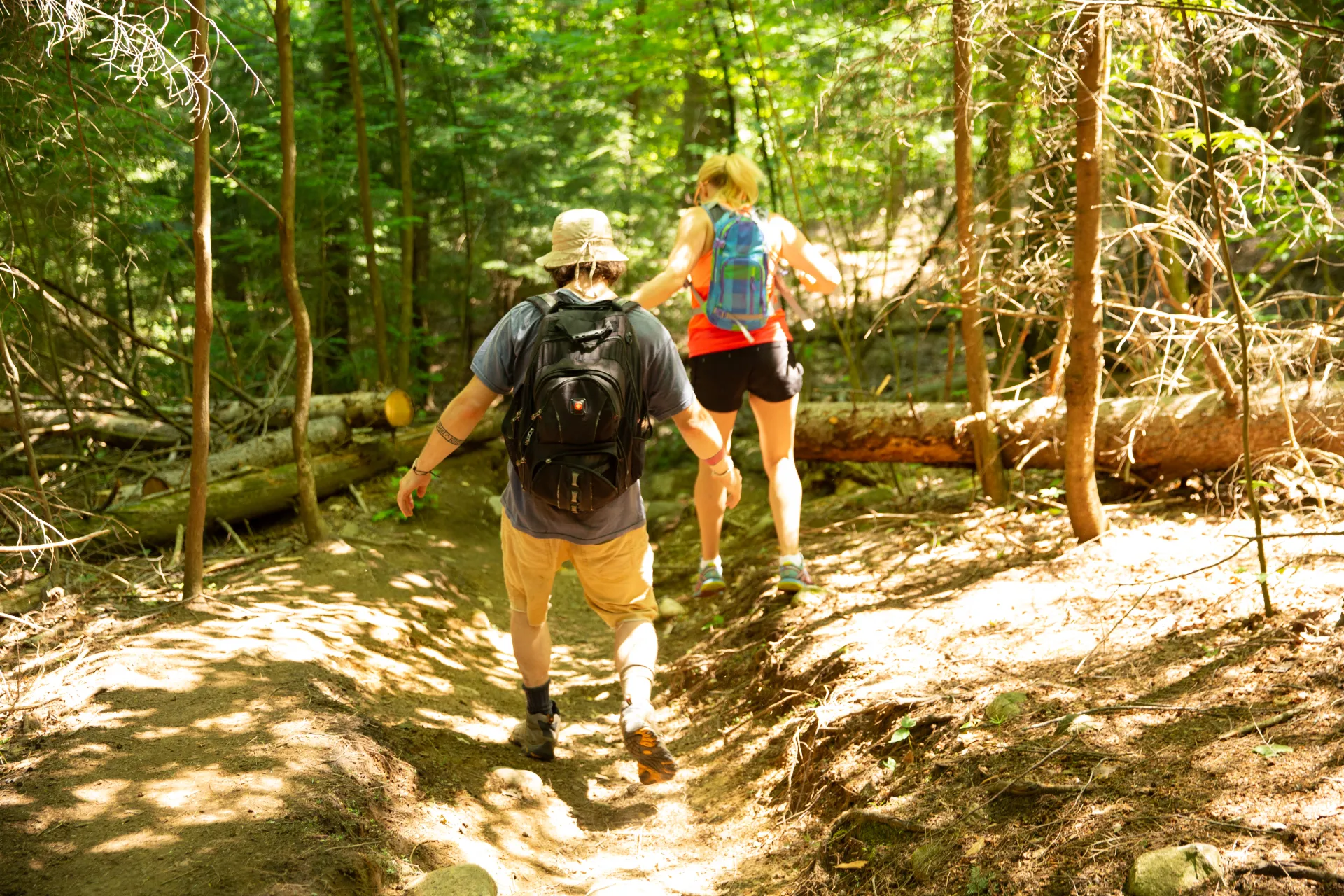 Keep to the trail to prevent erosion.