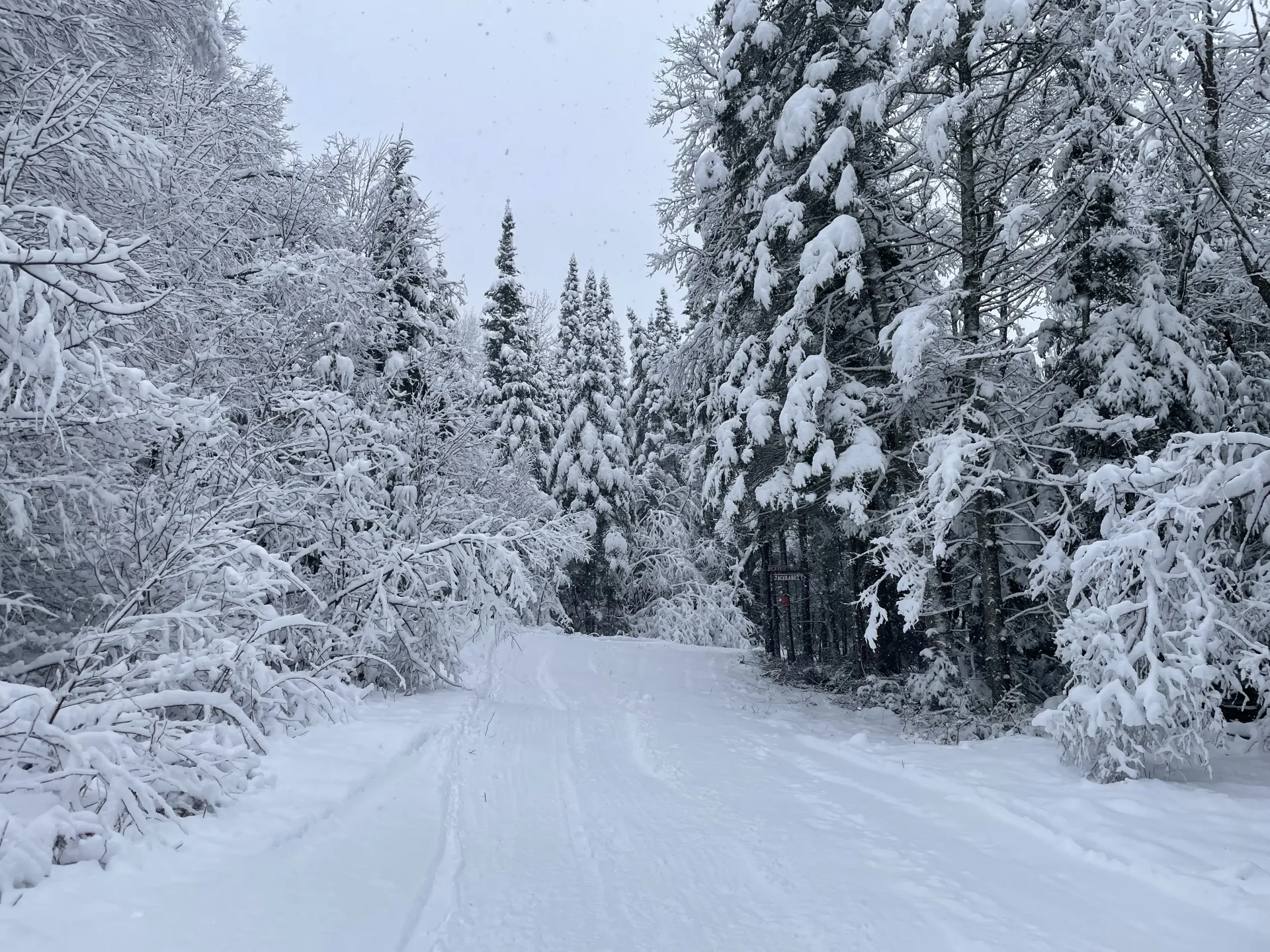 The groomed xc ski trail at Cascade Welcome Center